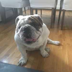 Meet your Posher, Danielle